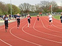 sal_04 222